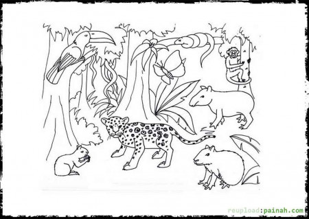 Amazon Rainforest Plants Coloring Pages - Coloring Pages For All Ages