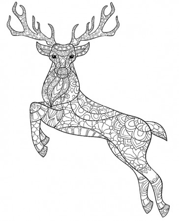 Deer, stag printable colouring pages for adults