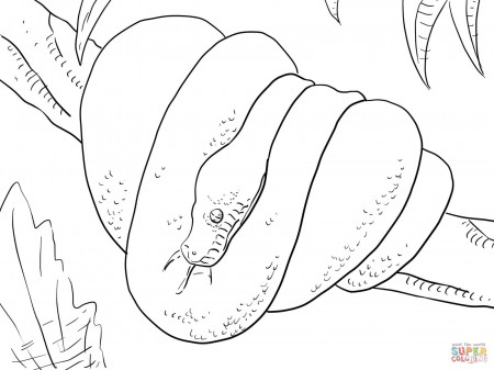 Green Tree Python coloring page | Free Printable Coloring Pages