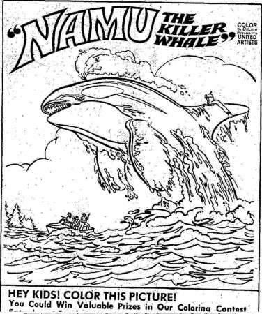 NAMU, The Killer Whale - Coloring Page