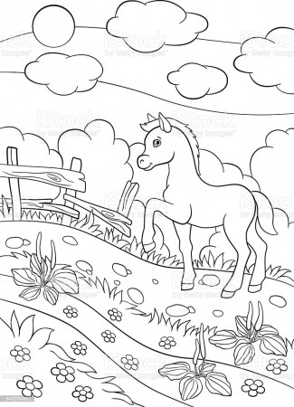 Coloring Pages Farm Animals Little Cute Foal Stock Illustration - Download  Image Now - iStock