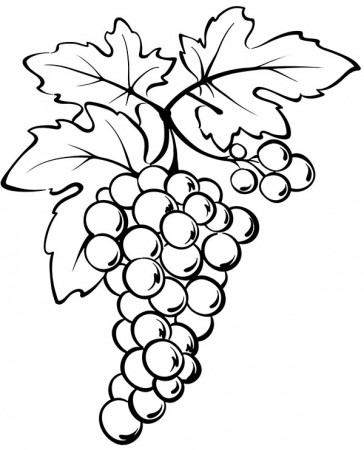 Bunch of grapes new coloring picture with fruits