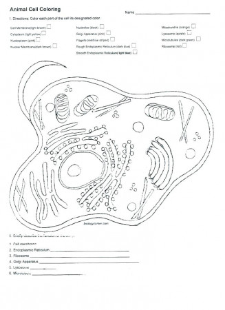 Cool Plant Cell Coloring Worksheet | Sugar And Spice