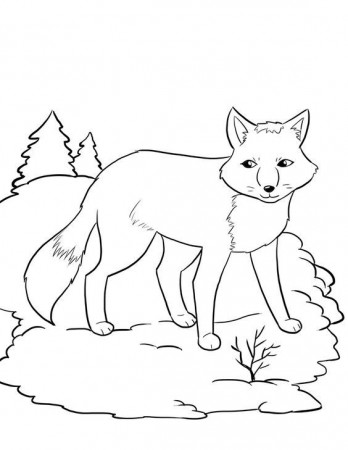 Arctic Fox Coloring Page | Free Coloring Pages on Masivy World