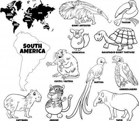 cartoon South American animals set coloring book page 3275601 Vector Art at  Vecteezy