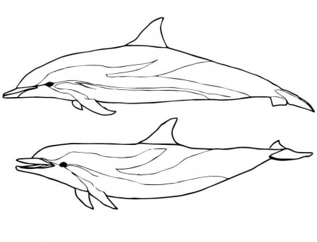 Two Striped Dolphins Coloring Page - Free Printable Coloring Pages for Kids