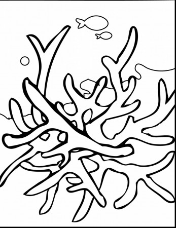 unbelievable coral reef coloring pages with coral reef coloring ... -  ClipArt Best - ClipArt Best
