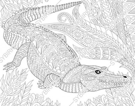 Coloring pages for adults. Crocodile. Alligator. Adult | Etsy