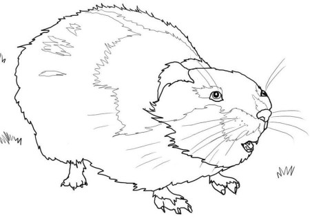 Coloring pages: Coloring pages: Lemming, printable for kids & adults, free