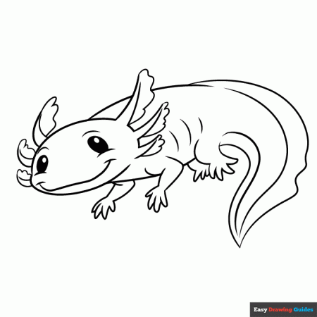 Premium Vector. Axolotl Coloring Page For Kids - Coloring Home