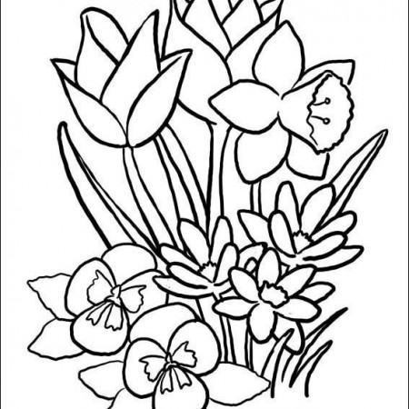 Free Easter Coloring Pages Spring Pictures For Kids Sheets Printable  Bathroom Ideas Kindergarteners Butterflies Flowers — Imwithphil