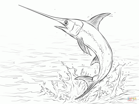 Swordfish coloring pages | Free Coloring Pages
