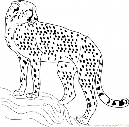 Cheetah Looking Back Coloring Page - Free Cheetah Coloring Pages ...