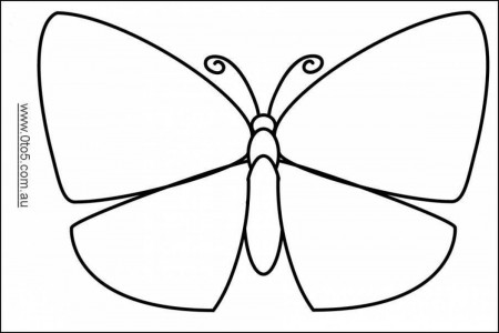 Butterfly Templates - Coloring Pages for Kids and for Adults
