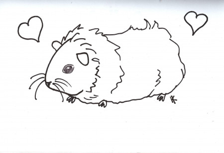 Guinea pig coloring pages to download and print for free