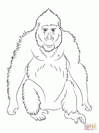 Gorilla Ape coloring page | Free Printable Coloring Pages