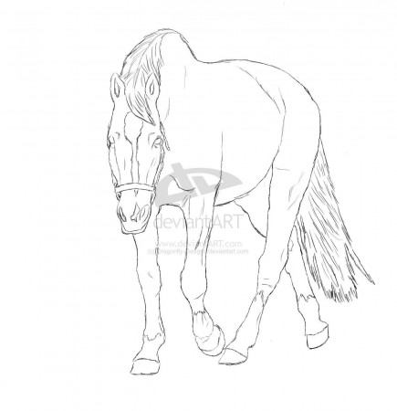 7 Pics of Breyer Horse Coloring Pages - Breyer Horse Coloring ...