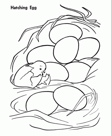Farm Animal Coloring Pages | Printable Chickens Coloring Page and 