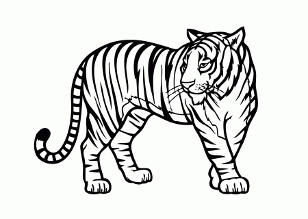 Free Printable Coloring Sheets Of Tigers - High Quality Coloring Pages