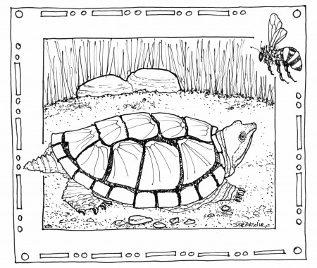 Hand Drawn Nature Coloring Pages | Drawing + Hand