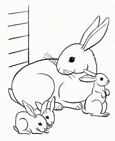 Printable Ba Animal Coloring Pages Bunny Rabbit Book For Kids Baby ...