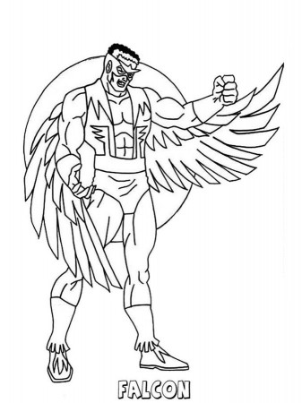 Coloring pages: Coloring pages: Falcon, printable for kids & adults, free