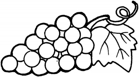 Coloring pages: Coloring pages: Grapes, printable for kids & adults, free  to download
