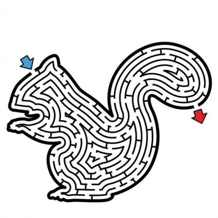 Squirrel Maze Puzzle Medium Hard | Hard mazes, Maze puzzles, Mazes for kids