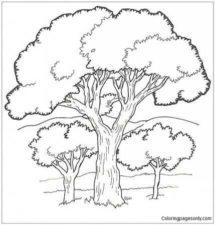 Oak Tree in the Forest Coloring Pages - Forest Coloring Pages - Coloring  Pages For Kids And Adults