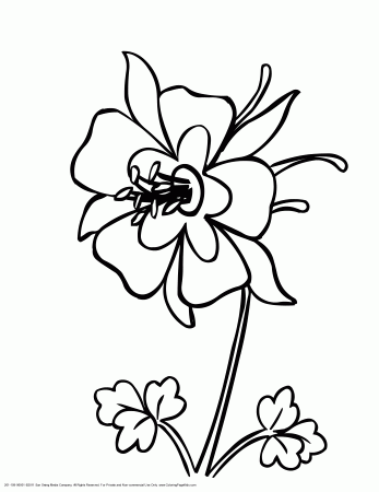 Colorado State Bird And Flower Coloring Page - Coloring Pages For ...