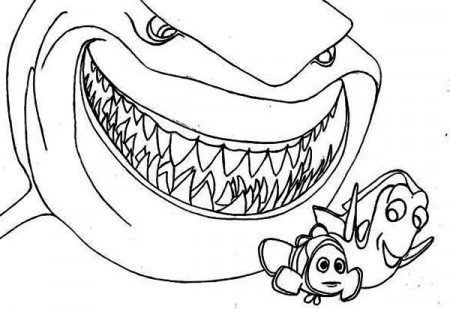 finding nemo. finding nemo bruce coloring pages for kids printable ...