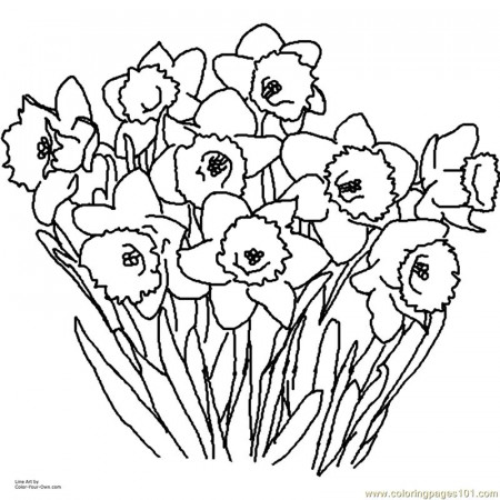 Daffodil Coloring Page - Free Flowers Coloring Pages ...