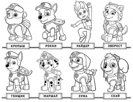LOL Surprise Dolls Coloring Pages. Print Them for Free! All the ...