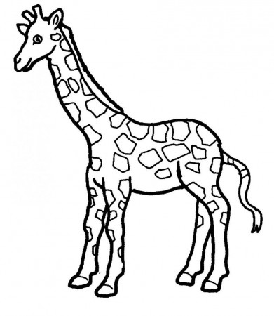 giraffe coloring page | Only Coloring Pages