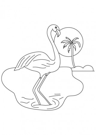 Purple wing flamingo coloring page | Download Free Purple wing ...