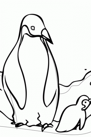 Club Penguin Printable Coloring Pages | download free printable 