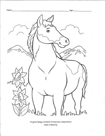 Kids Projects - Western States Wild Horse and Burro Expo