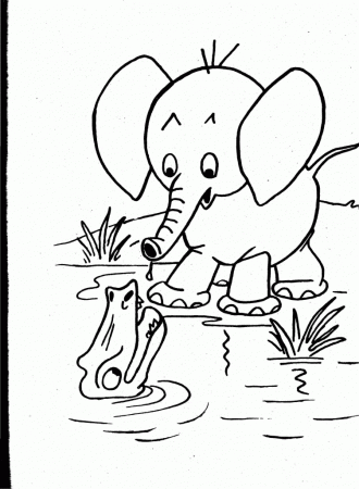 wild animal coloring pages fun