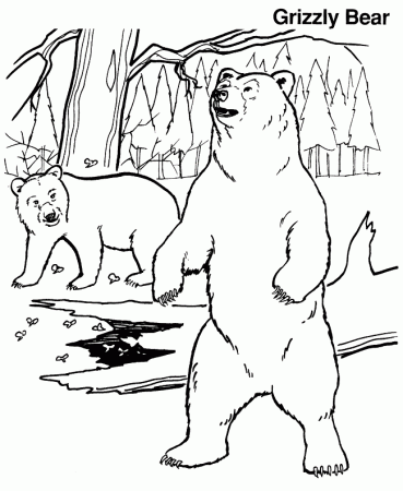 Grizzly Bear coloring page - Animals Town - animals color sheet 