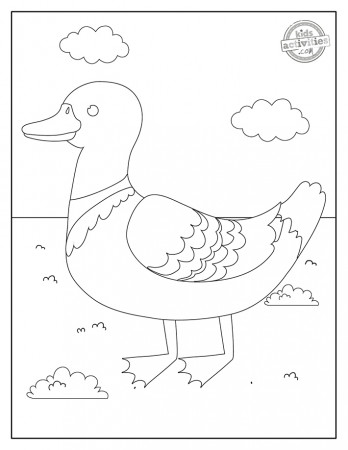 Free Printable Duckling & Duck Coloring Pages | Kids Activities Blog