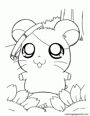 Cute Hamster Free Coloring Pages - Hamster Coloring Pages - Coloring Pages  For Kids And Adults
