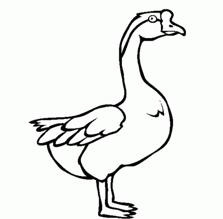 Cartoon Swan Coloring Pages - Coloring Pages For All Ages