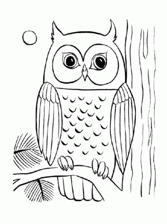 big eyed owl. adult coloring pages owls. beauty adult coloring ...