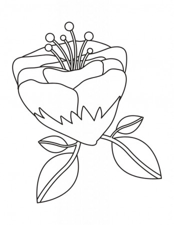 Fun and Pretty Coloring Pages for Adults with Flowers and Leaves ...