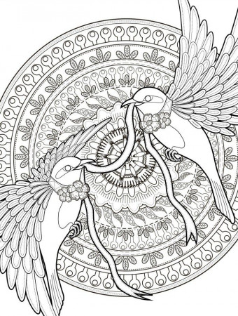 Everything You Need to Know About Adult Coloring | The Paper Blog