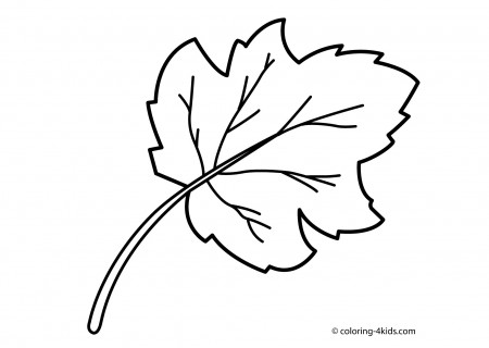 Leaf Coloring Pages - FREE Printable Coloring Pages | AngelDesign