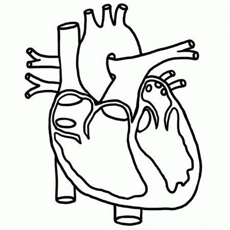 Coloring Page Of A Human Heart - High Quality Coloring Pages