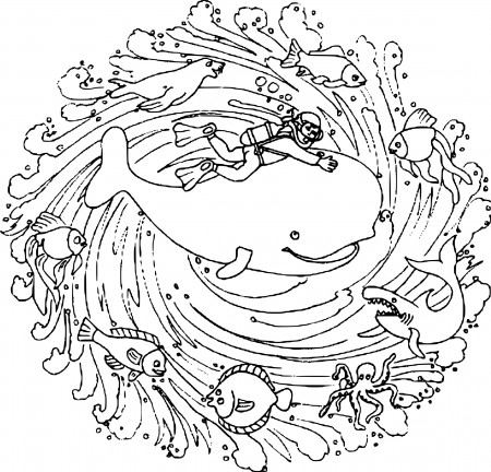 Mandala Marine Animals coloring page - free printable coloring pages on  coloori.com