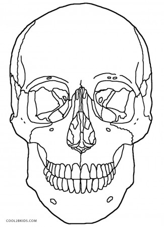 Printable Anatomy And Physiology - Coloring Pages for Kids and for ...