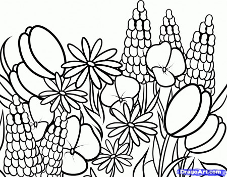 Wild Flowers Coloring Pages